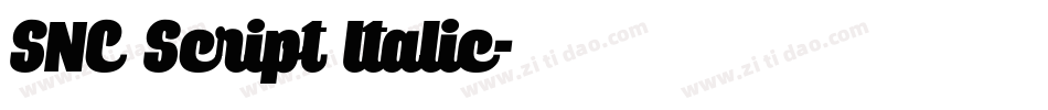 SNC Script Italic字体转换
